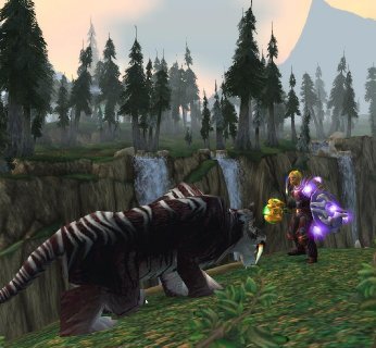Silnik graficzny World of Warcraft to nieznacznie zmodyfikowany engine Warcrafta III, co nie przeszkadza mu w generowaniu przepięknych krain