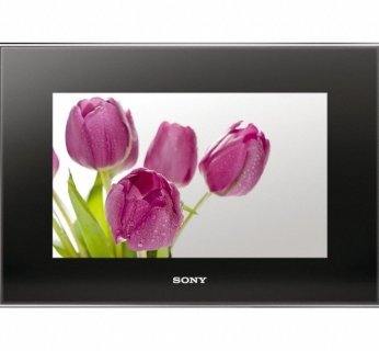 Sony S-Frame DPF-V1000