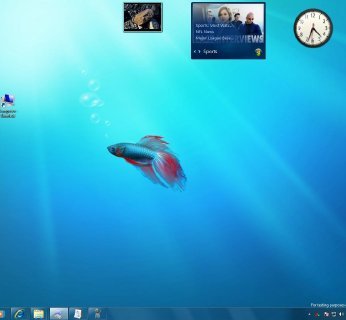 Pojawiły się nowe motywy graficzne – w wersji beta domyślnie na Pulpicie widać rybkę o nazwie Betta (bojownik).