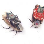 RoboRoach: pierwszy na świecie działający system zdalnego sterowania karaluchami, który można kupić.