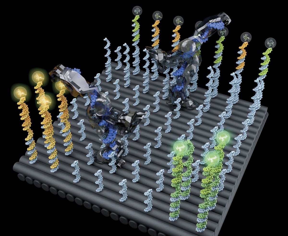 Roboty zbudowane z DNA przetransportują leki