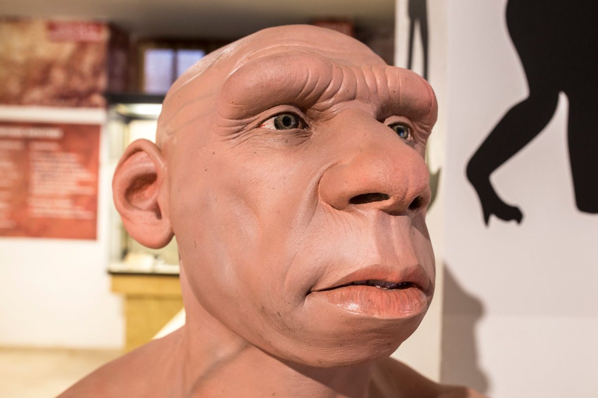 Tak mógł wyglądać neandertalczyk
