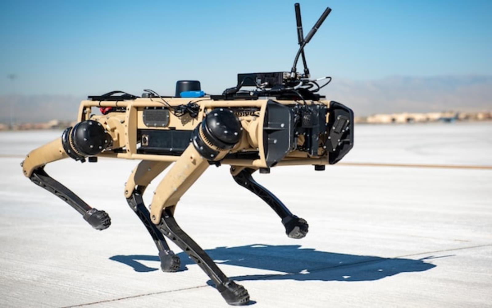 Psy-roboty patrolujące granice USA