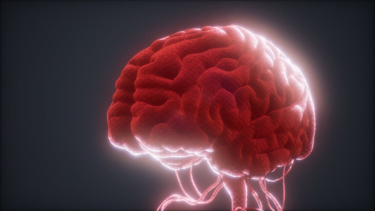Jak zrozumieć choroby mózgu? Naukowcy opracowali przełomową technologię