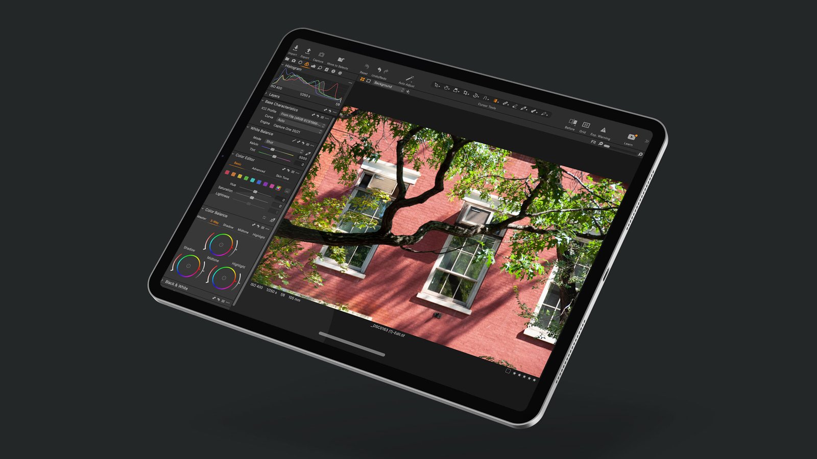 Capture One Pro dla iPada