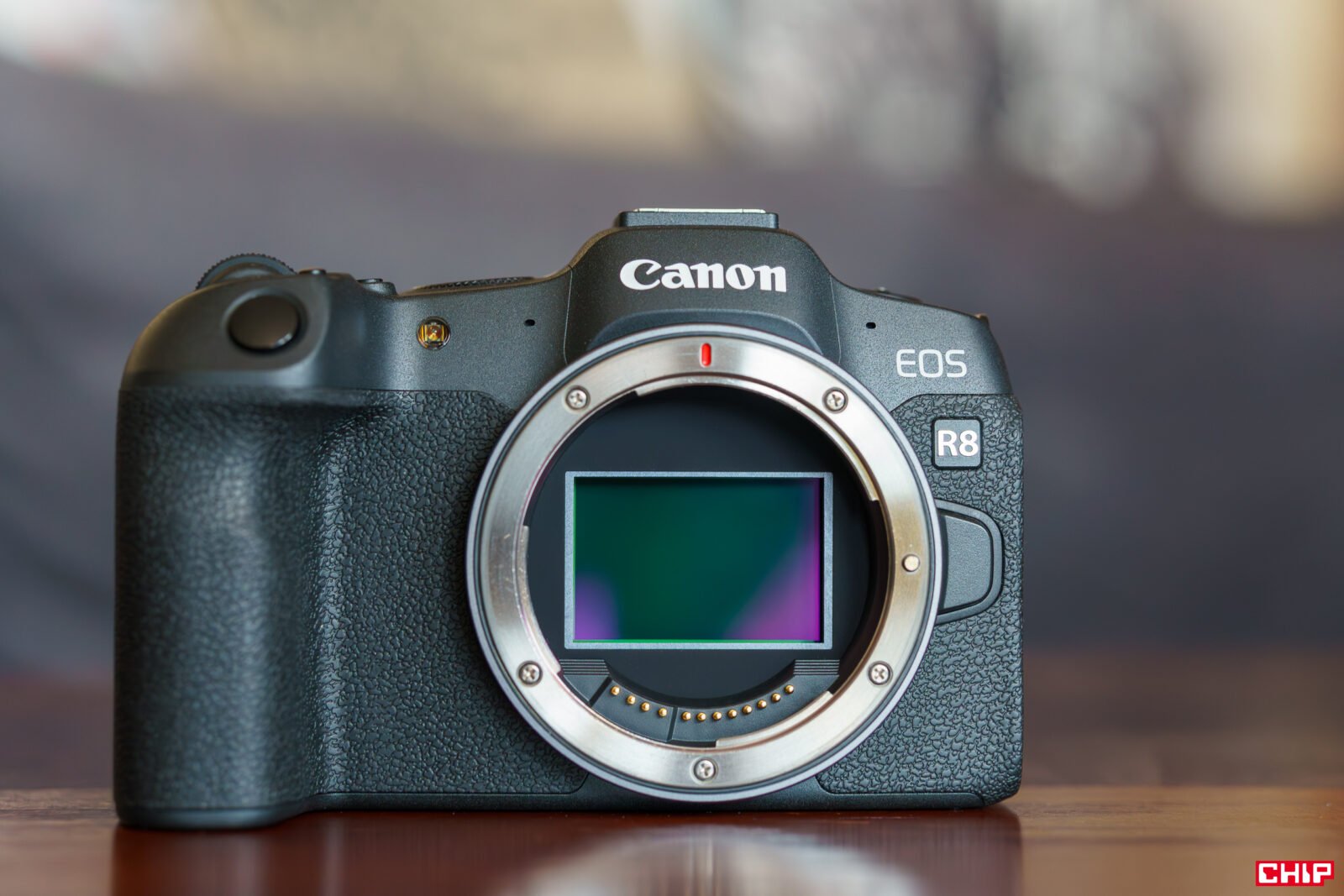 Canon EOS R8 foto