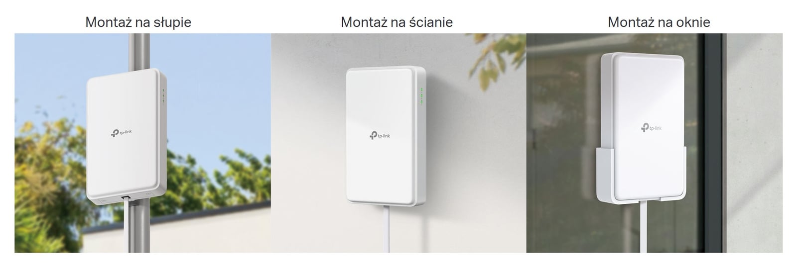 TP-Link