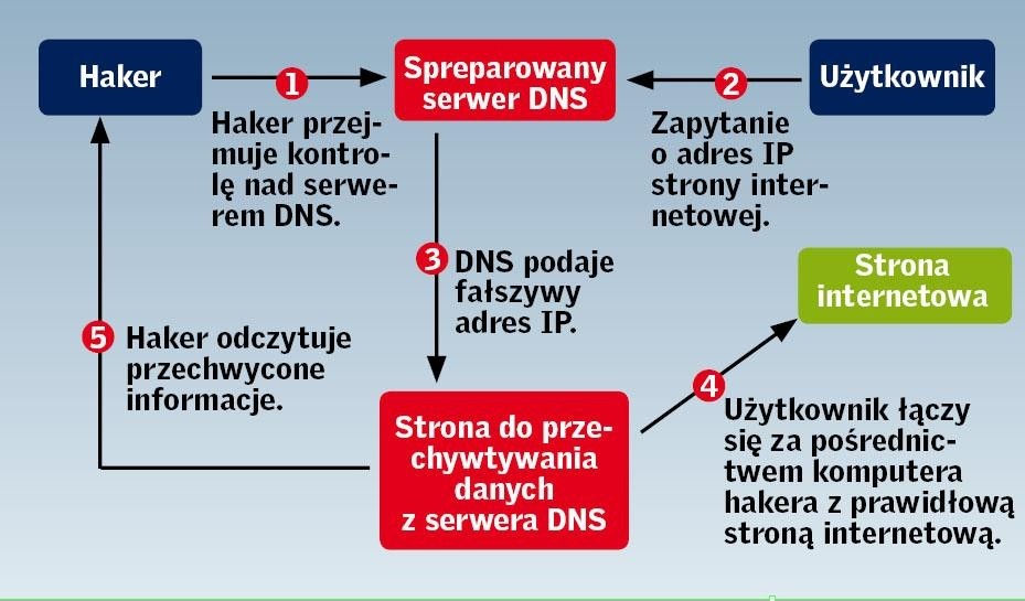Anatomia ataku z wykorzystaniem DNS