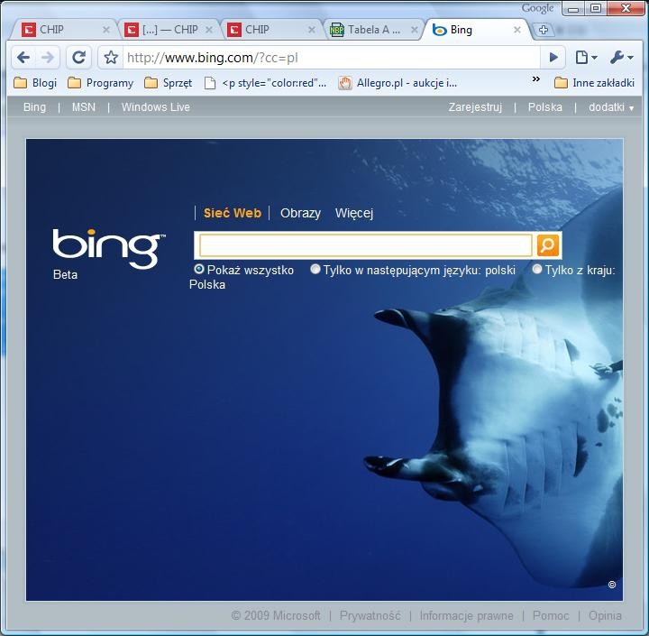Bing, czyli sen o końcu dominacji Google'a