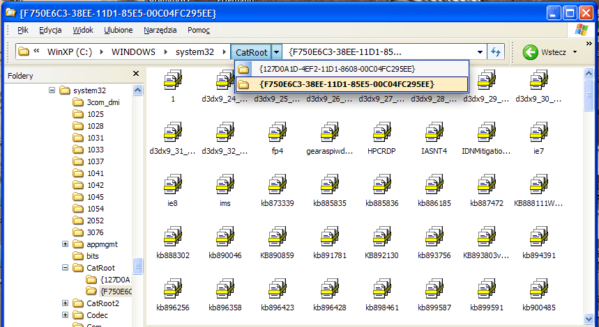 Wyróżnienie za pomocą specjalnej ikony pozwoli nam szybko rozpoznać, który folder lub klucz właśnie oglądamy.