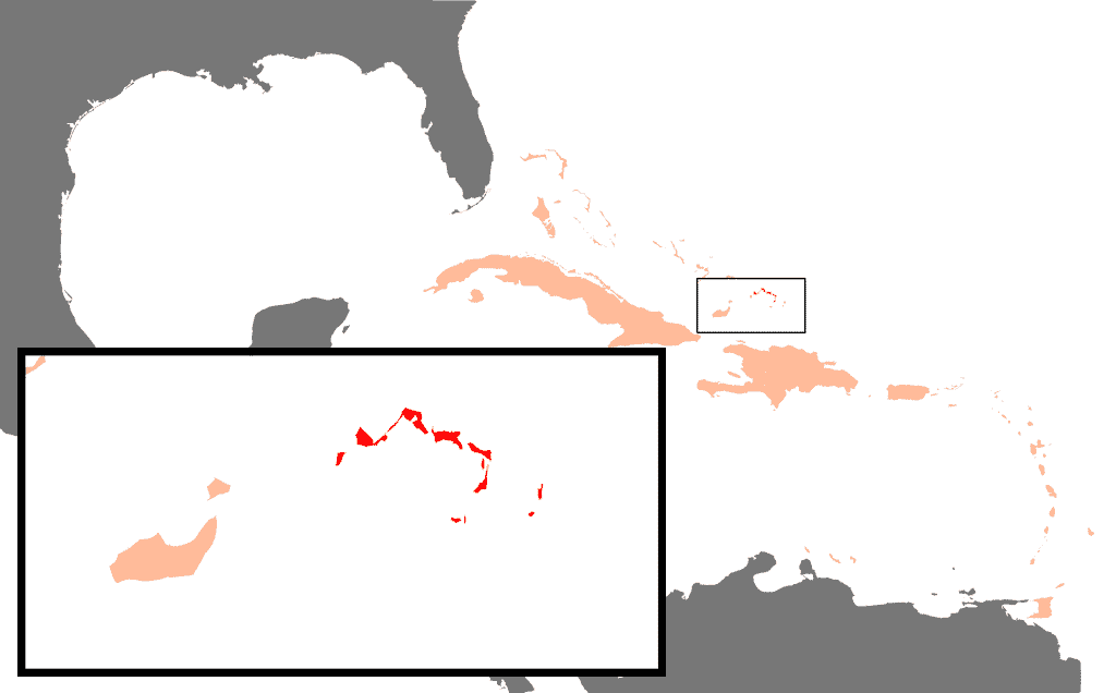 Turks i Caicos to wysepki położone na Karaibach