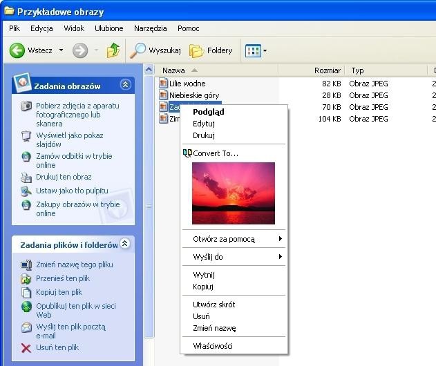 Bezpłatny program ShellExtension poszerza menu kontekstowe Eksploratora o podgląd plików.
