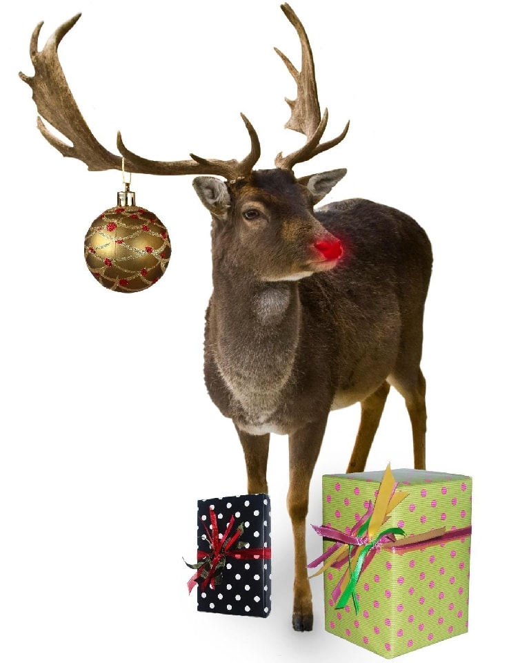 Upominki zdobione zdjęciami