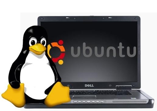 Na stronie internetowej Della, komputera z Ubuntu nie kupimy