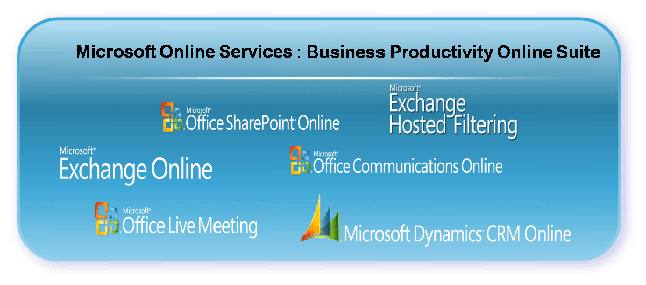 Business Productivity Online Services dla powodzian za darmo przez rok