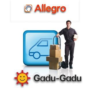 Allegro umożliwia śledzenie paczki przez GG