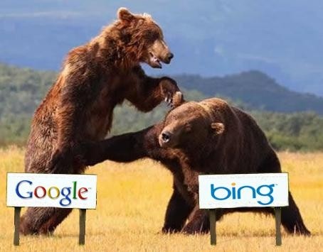 Walka wyszukiwarkowych niedźwiedzi trwa w najlepsze