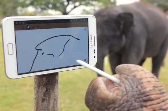 Bigger is better, czyli słoń Peter obsługuje Galaxy Note’a… trąbą!