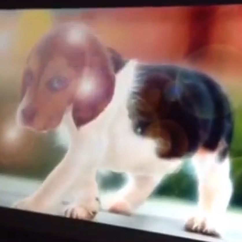 Parodia Photoshopa CC