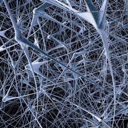 Powstała największa na świecie sztuczna sieć neuronowa