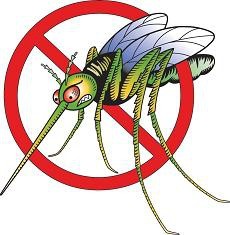 Floryda wykorzysta drony do walki z komarami