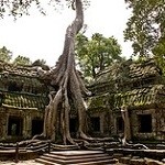 Zwiedź oszałamiające świątynie w Kambodży za pomocą Google Street View