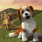 Labrador w kieszeni, czyli recenzja PlayStation Vita: Zwierzaki
