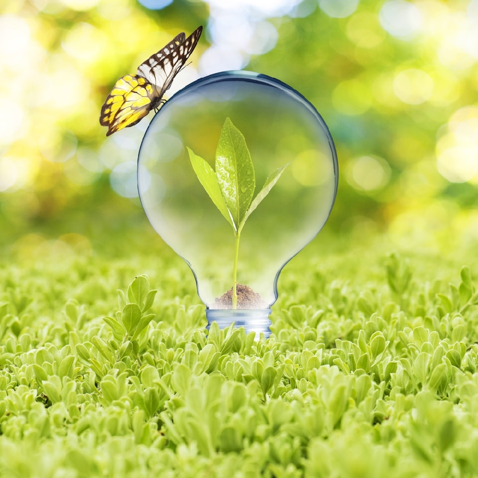 Najbardziej ekologiczną marką świata jest…