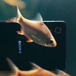 Sony Xperia M4 Aqua: wodoodporny średniak, któremu warto się przyjrzeć