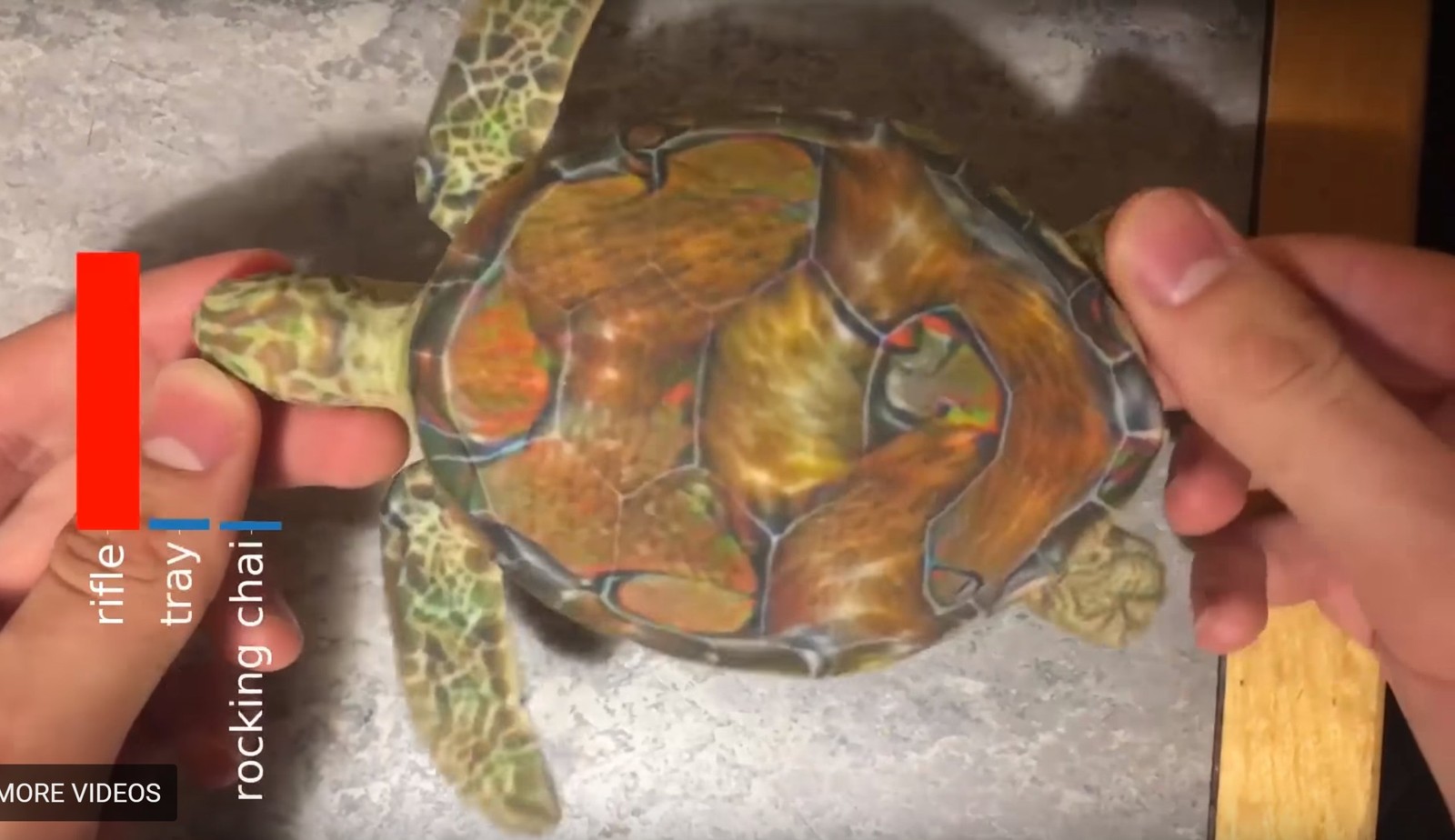 Żółw rozpoznany jako karabin
