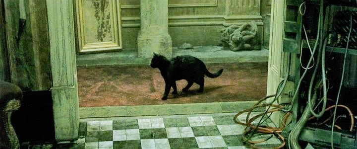 Dowód na to, że żyjemy w Matrixie