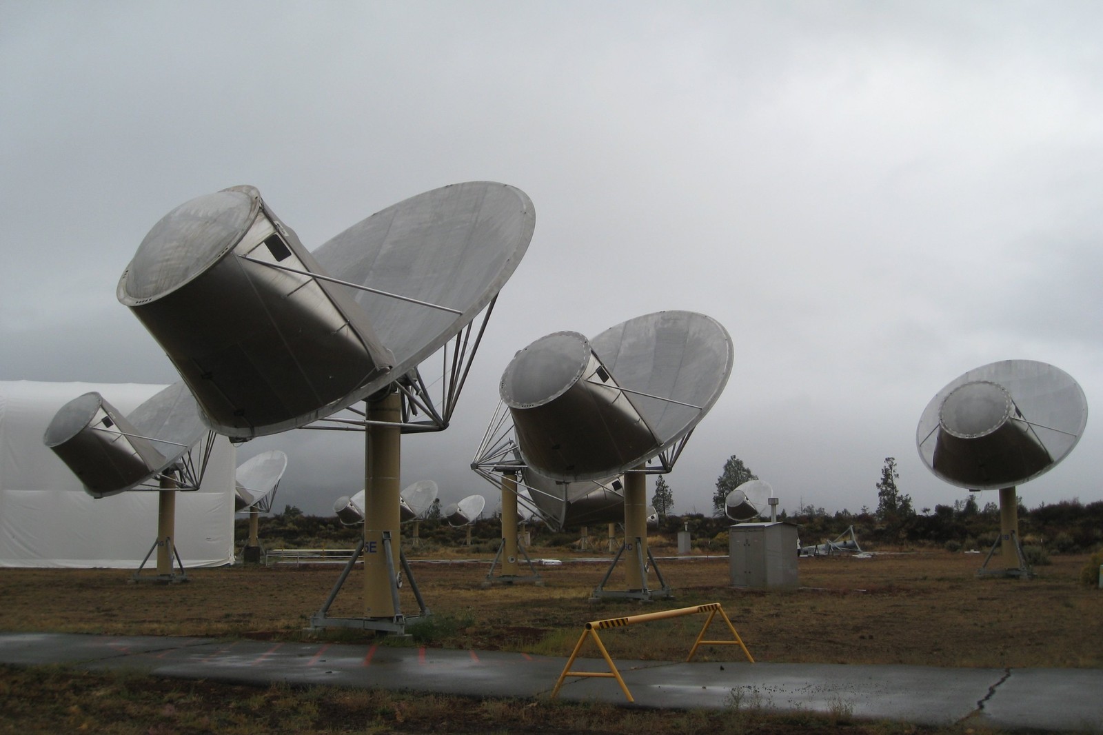 Program SETI nie może być rozwijany przez kryptowaluty