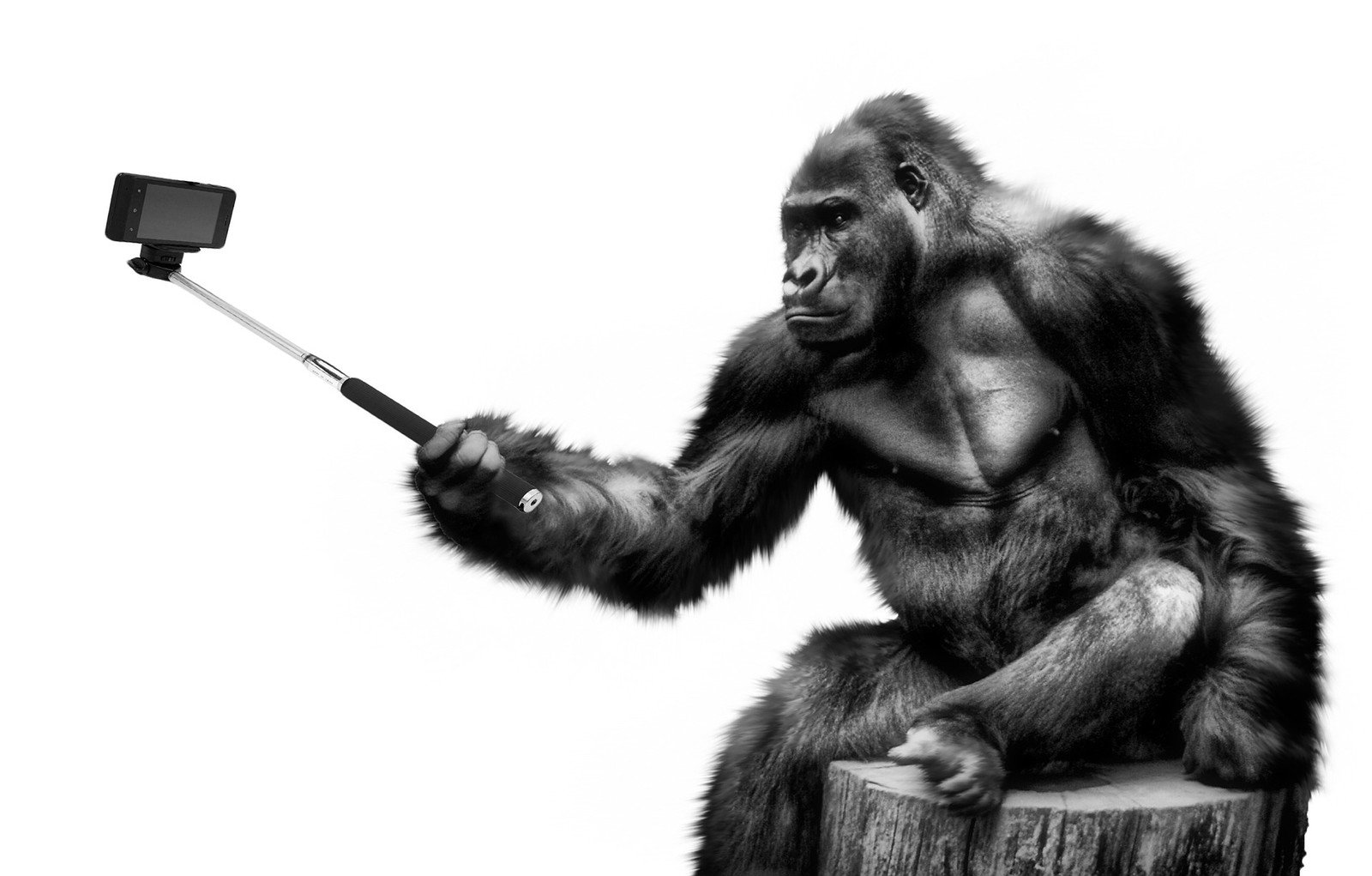 Gorilla Glass 6 – smartfony staną się pancerne?