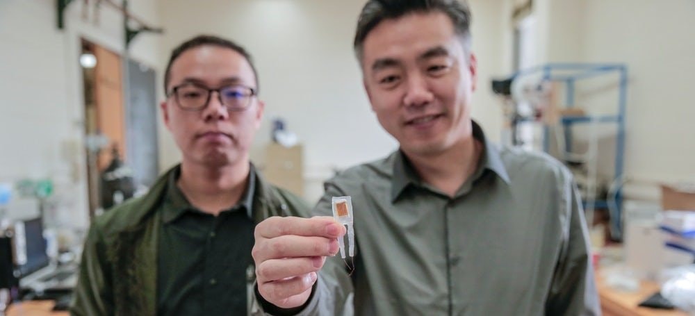 Inżynierowie z Uniwersytetu Wisconsin-Madison z implantem mającym pomóc w schudnięciu