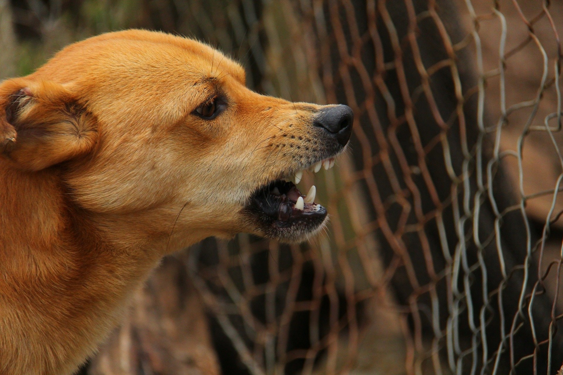 FELIETON: komentarz, hejt, lincz, czyli…