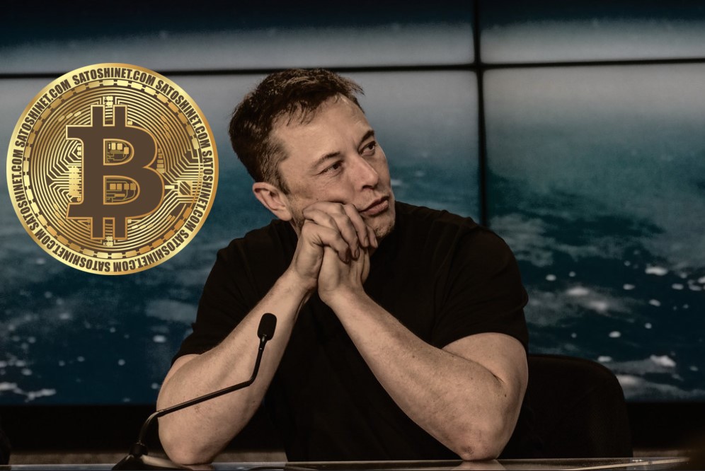 Elon Musk zdradził Bitcoina, Elon Musk Bitcoin,