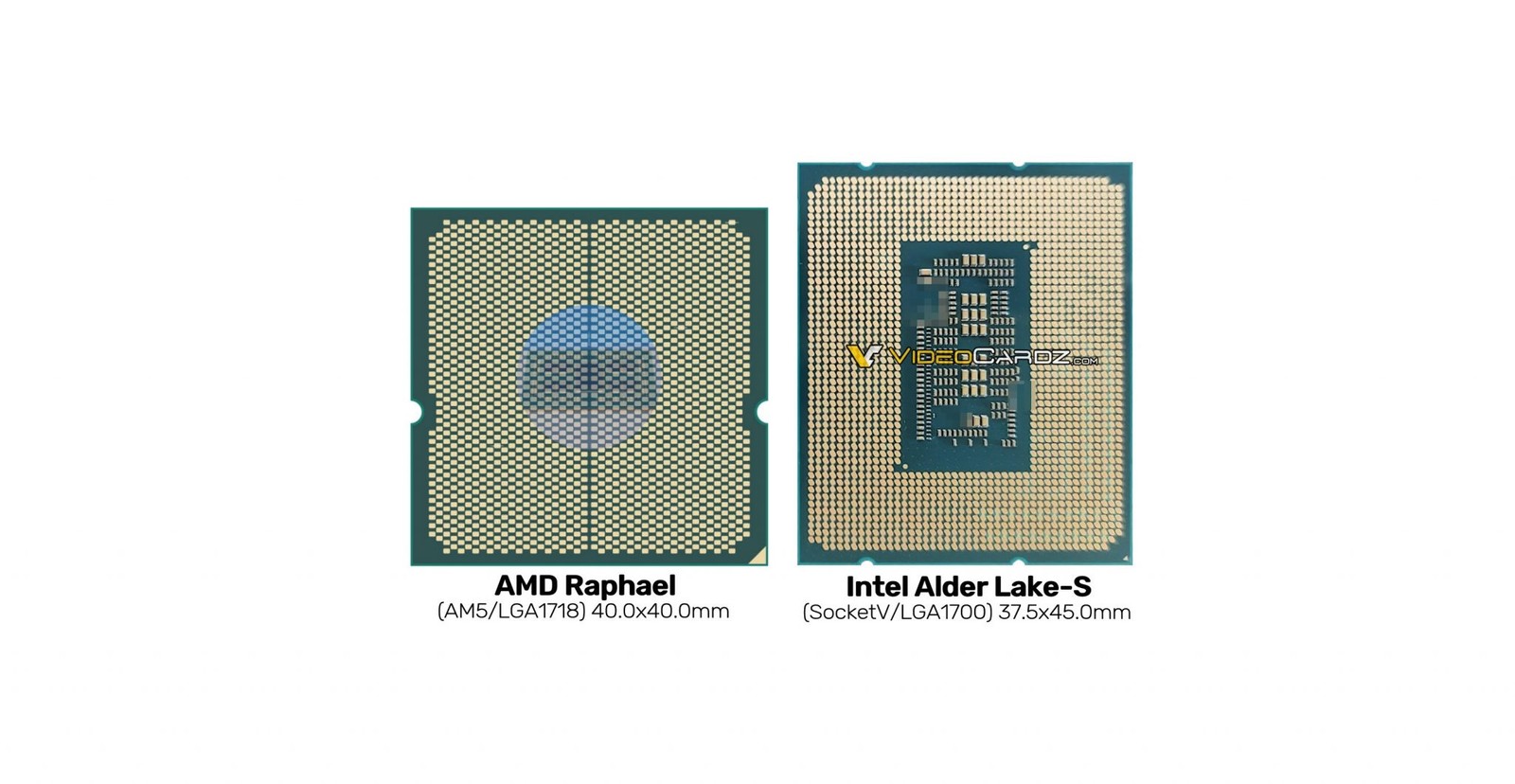 render procesora Raphael, gniazdo AM5 AMD, gniazdo AM5