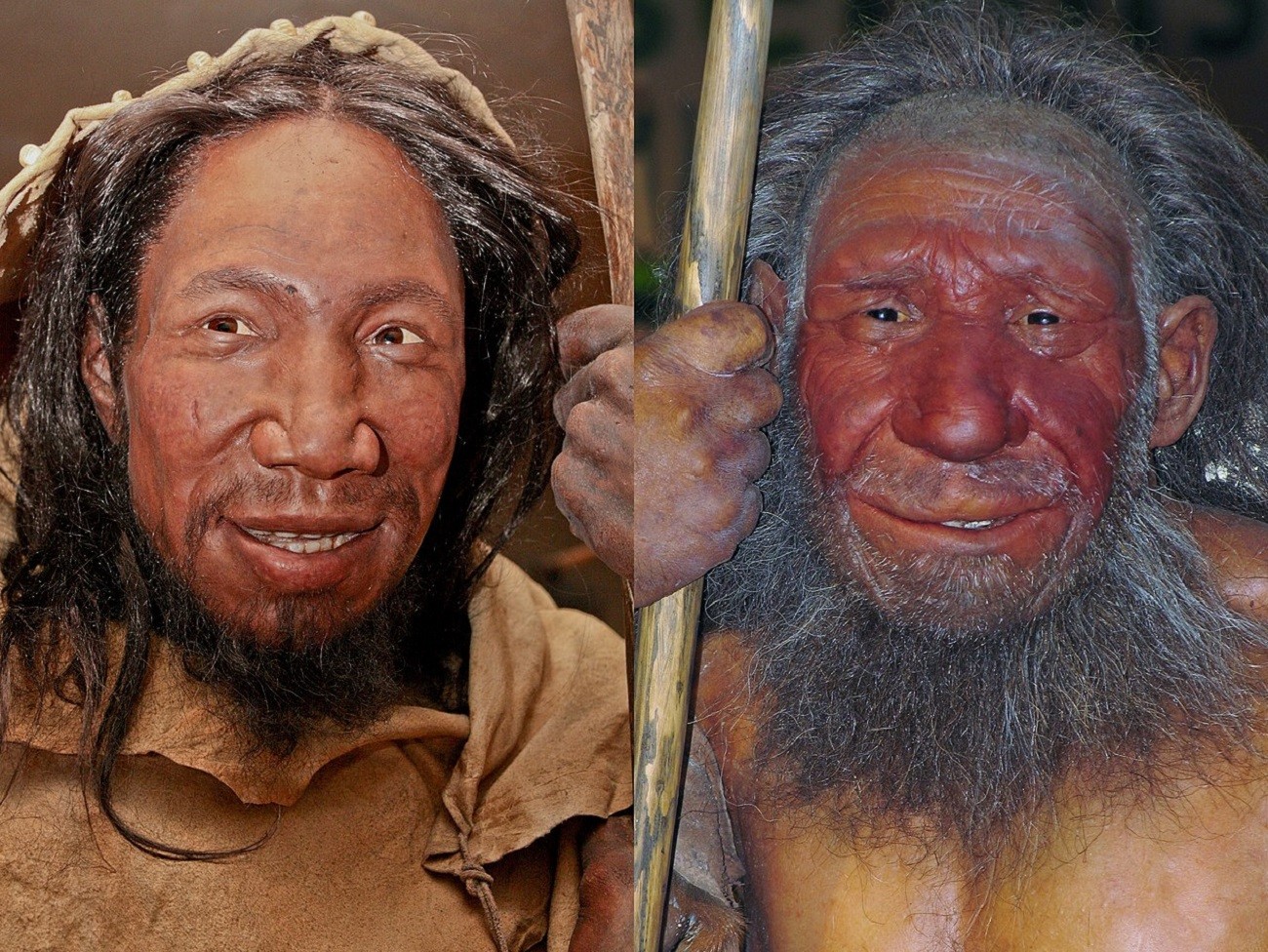 Jak często neandertalczycy uprawiali seks z Homo sapiens?