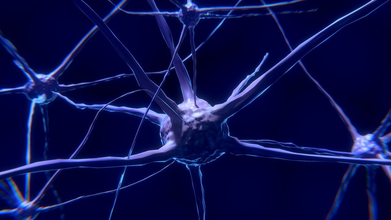 Sieci neuronowe kopiują biologiczny mózg. W ten sposób rozpoznają zapachy