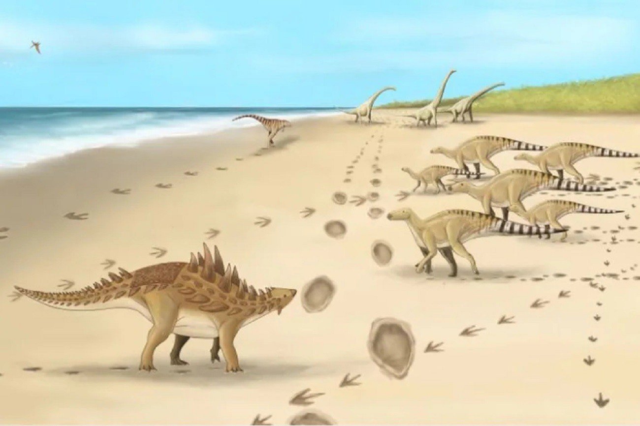 110 mln lat temu żyły tam dinozaury. Teraz znaleziono ich ślady