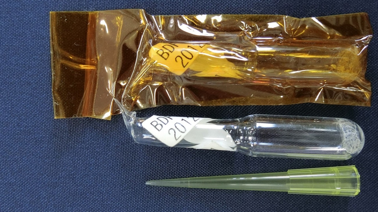 Myszy z kosmosu dowodzą, że promieniowanie nie musi stanowić zagrożenia