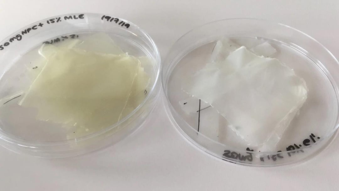 Opracowano bioaktywny plastik z liści mango. Patogeny i światło UV mu nie straszne