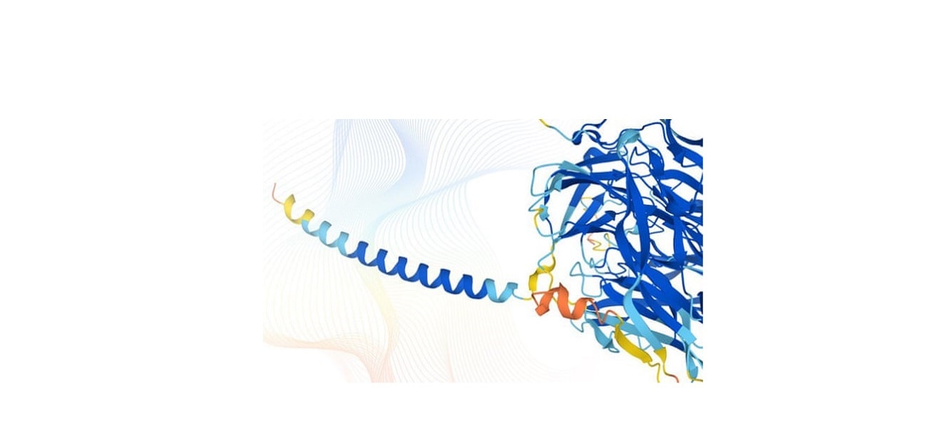 Sztuczna inteligencja odkryła struktury 98,5% białek wchodzących w skład ludzkiego organizmu