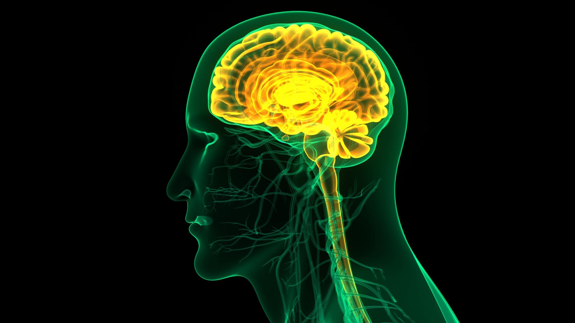 Nowy sposób dostarczania leków do mózgu lub rdzenia kręgowego