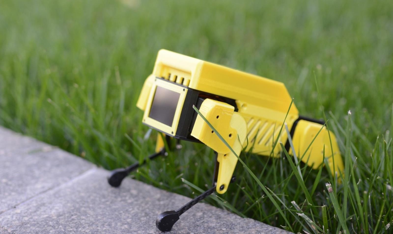 robopsa w przystępnej cenie, Mini Pupper