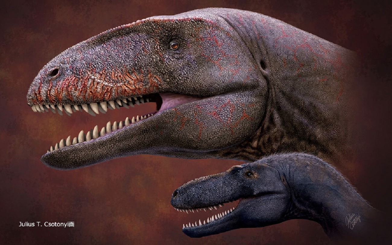 Tyranozaury nie zawsze królowały na Ziemi. Inny dinozaur znajdował się przed nimi na szczycie