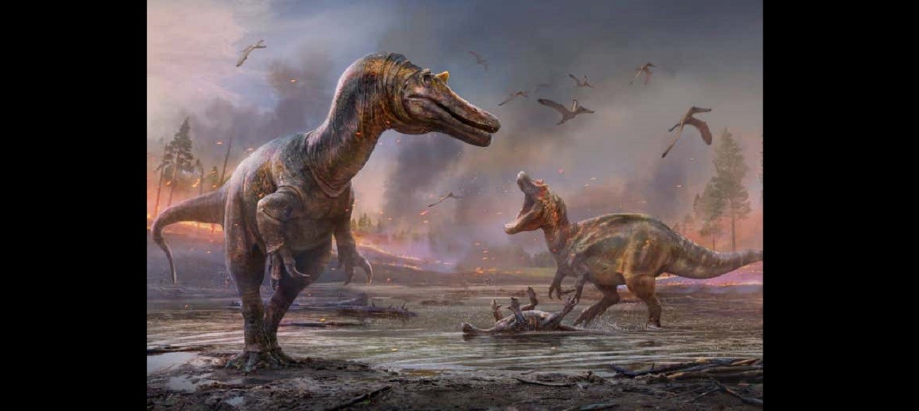 Spinozaury mogłyby wzbudzić strach nawet u T. rexa. Właśnie opisano dwa nowe gatunki tych drapieżników