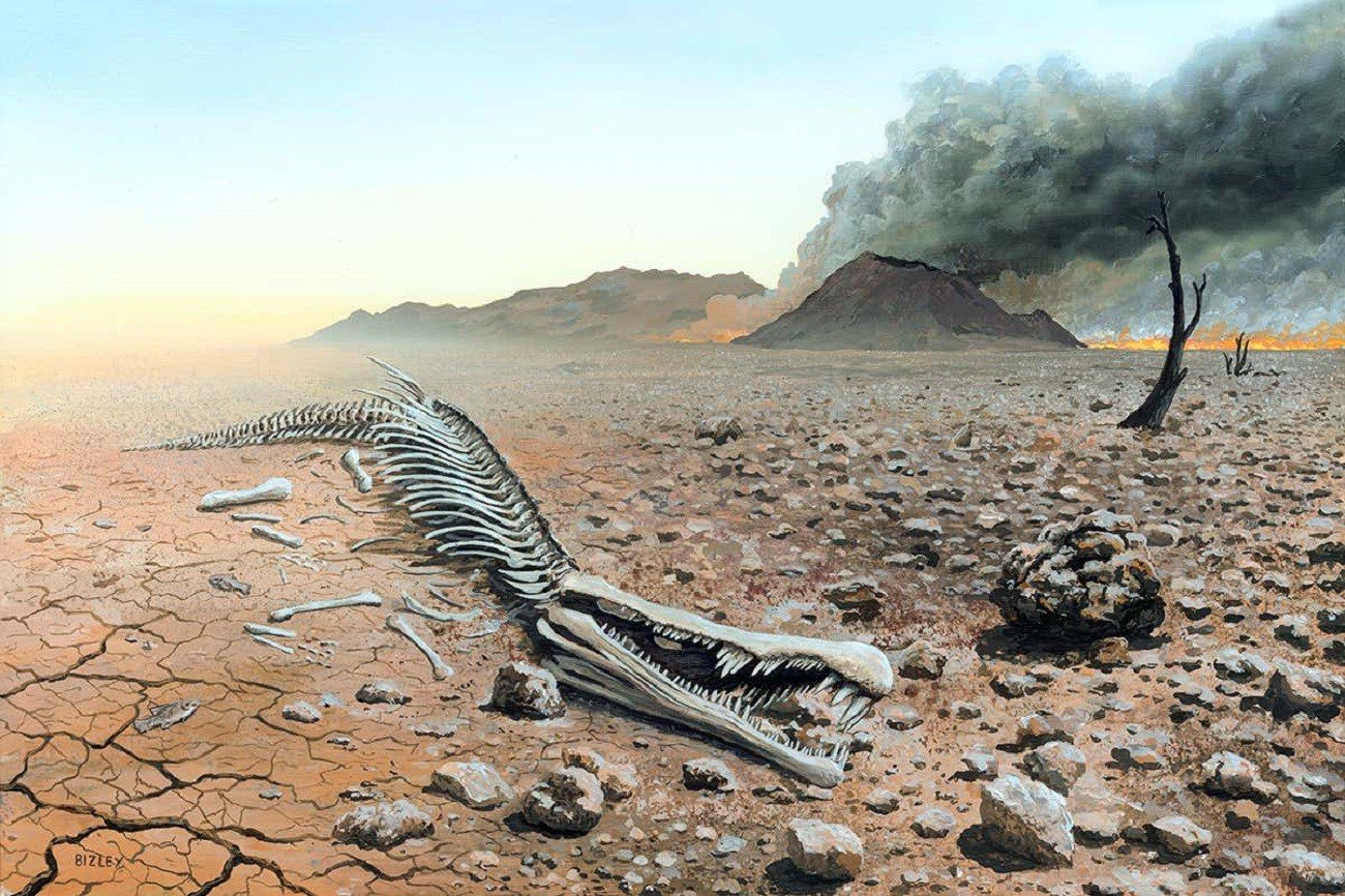 30 milionów lat temu miało miejsce masowe wymieranie, o którym nie mieliśmy pojęcia