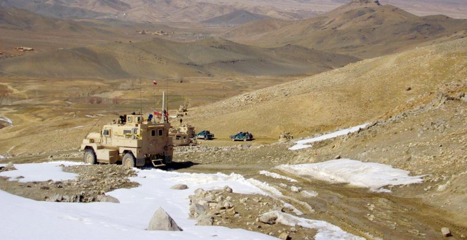 Cougar, transportery MRAP, Polska Cougar, zakup Cougar, tranportery Cougar