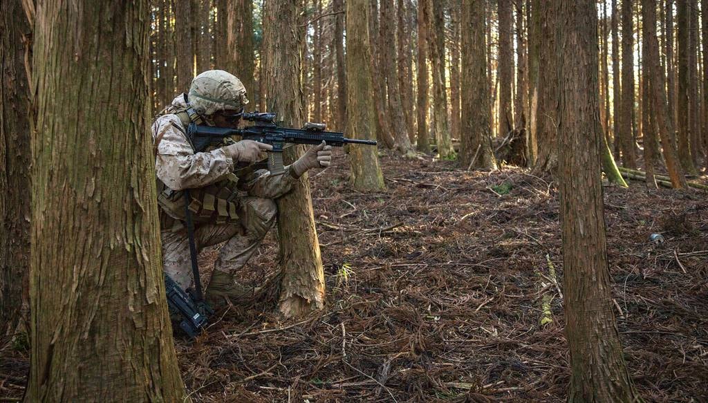 Niczym największy koszmar piechoty. Ukraina pokazała kartonowe drony w akcji